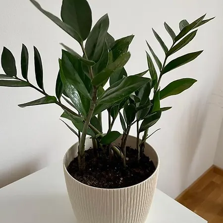 Paris -free Private Parking Apartment